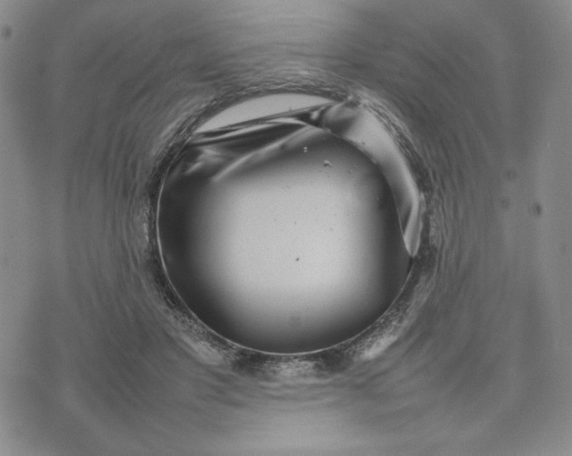 X0000075360501200609251105