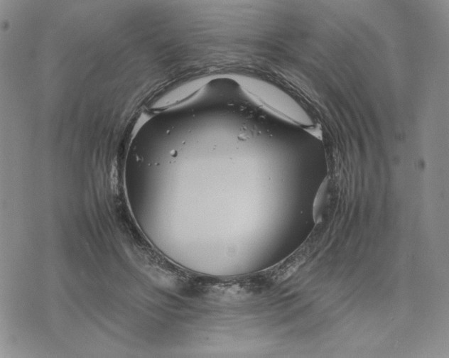 X0000075360502200609251105