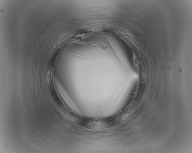 X0000075360503200609251105