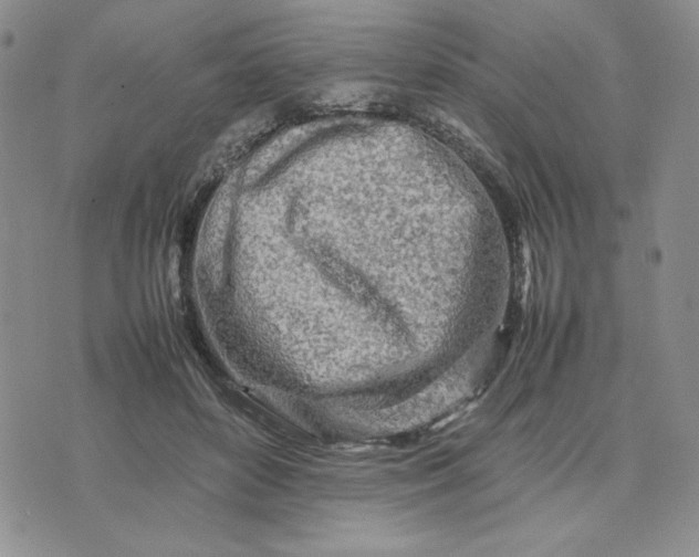 X0000075360504200609251105