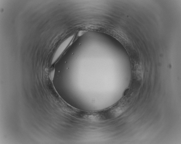 X0000075360506200609251105