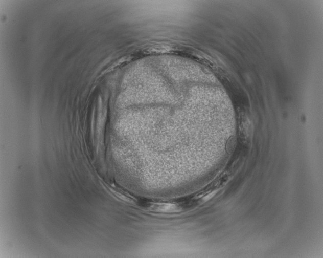 X0000075360507200609251105