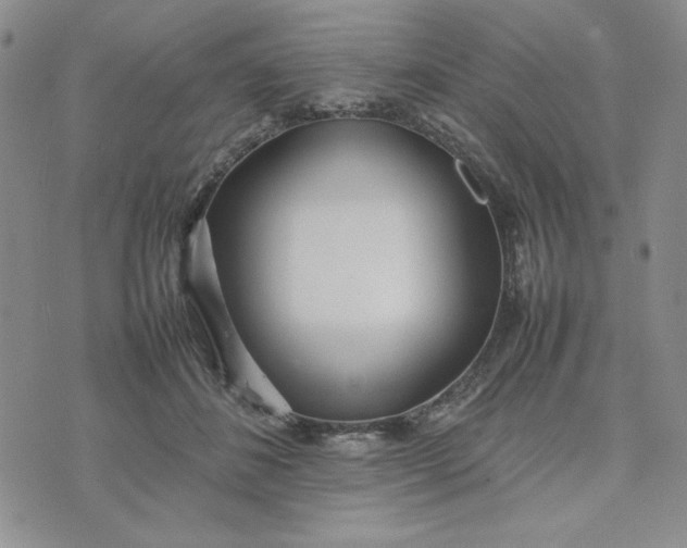 X0000075360508200609251105