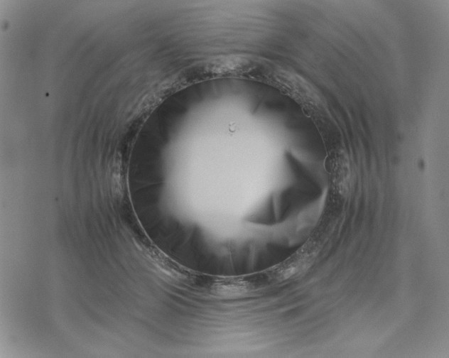 X0000075360510200609251105