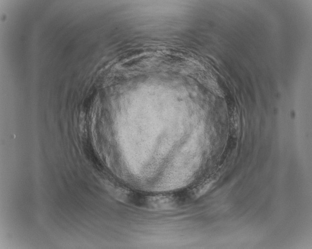 X0000075360511200609251105