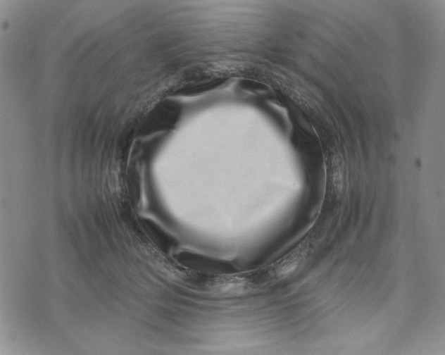 X0000075360514200609251105