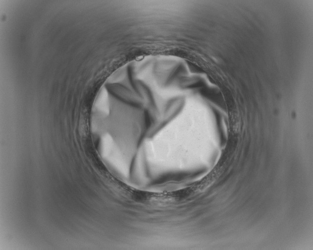 X0000075360515200609251105