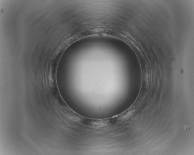 X0000075360516200609251105