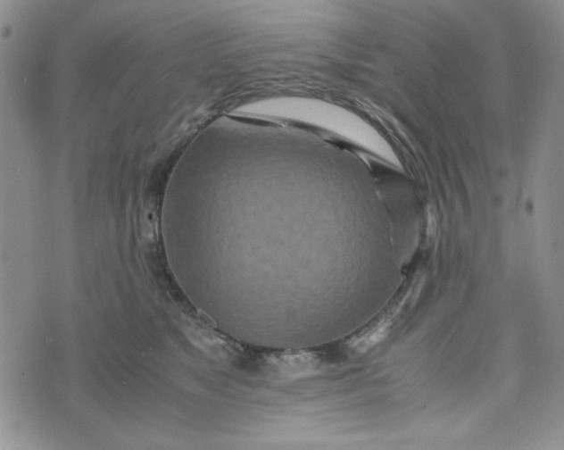 X0000075360517200609251105