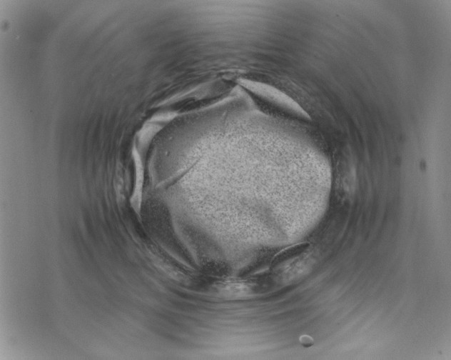 X0000075360518200609251105