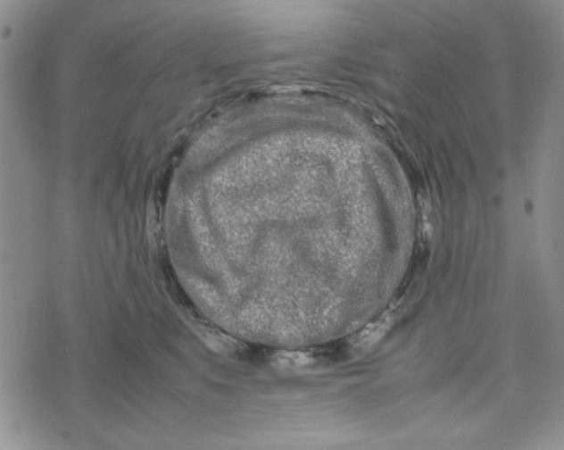 X0000075360519200609251105