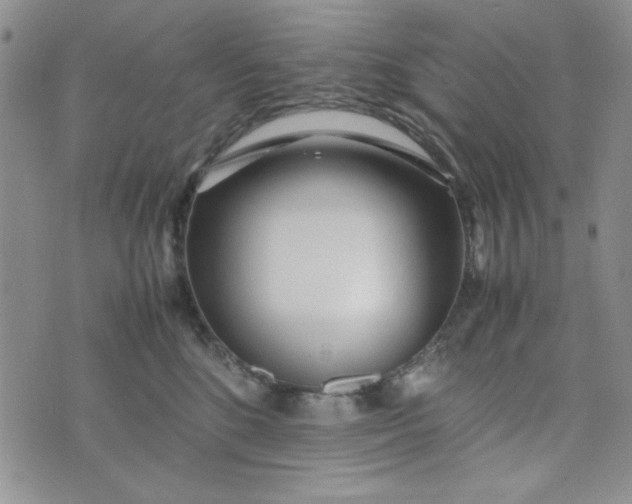 X0000075360520200609251105