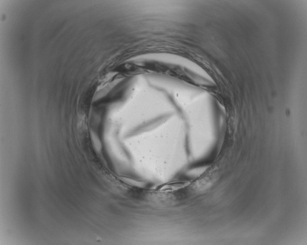 X0000075360521200609251105