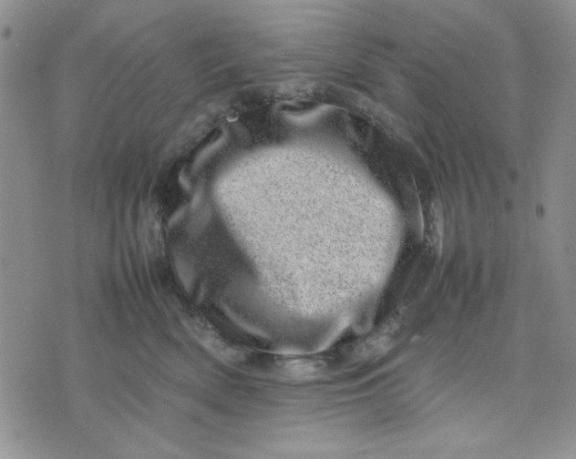 X0000075360522200609251105