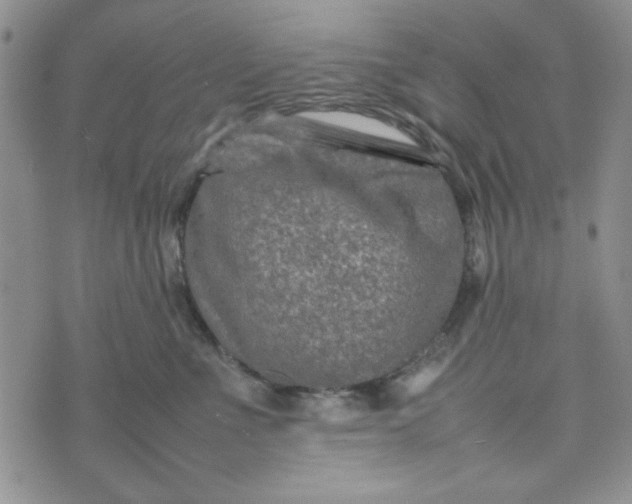 X0000075360523200609251105