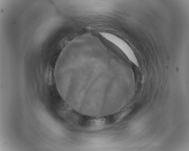 X0000075360525200609251105