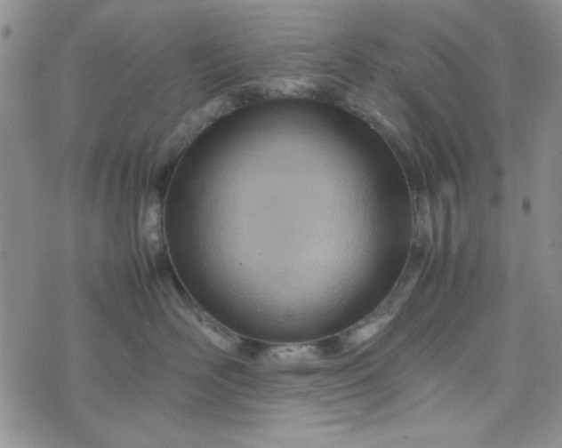 X0000075360526200609251105