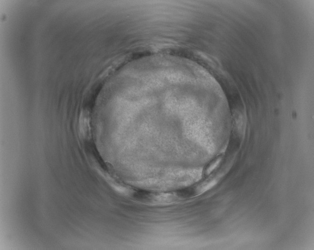 X0000075360527200609251105