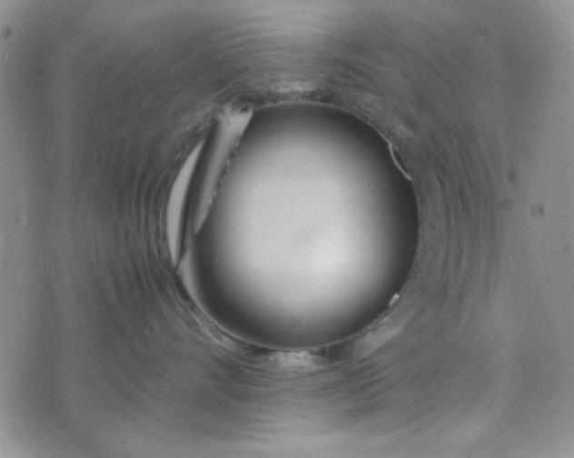 X0000075360528200609251105