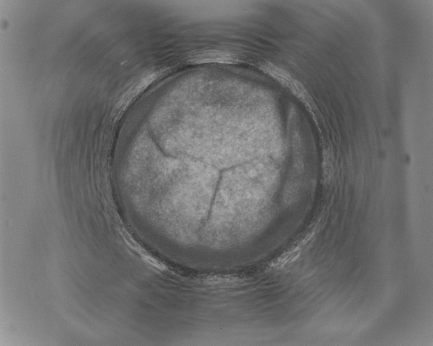 X0000075360529200609251104