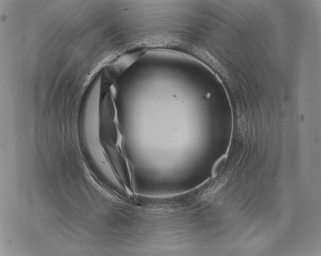 X0000075360530200609251104