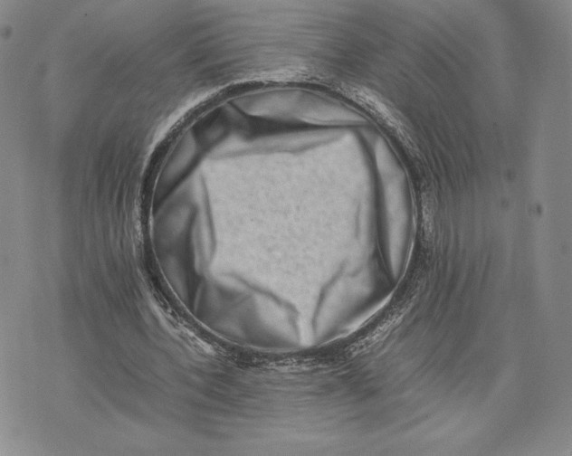 X0000075360532200609251104