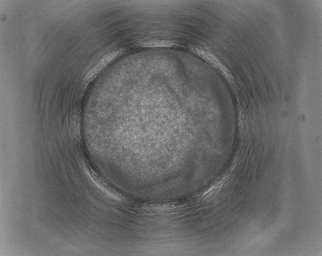 X0000075360533200609251104