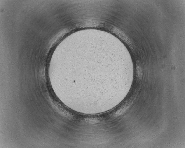 X0000075360534200609251104