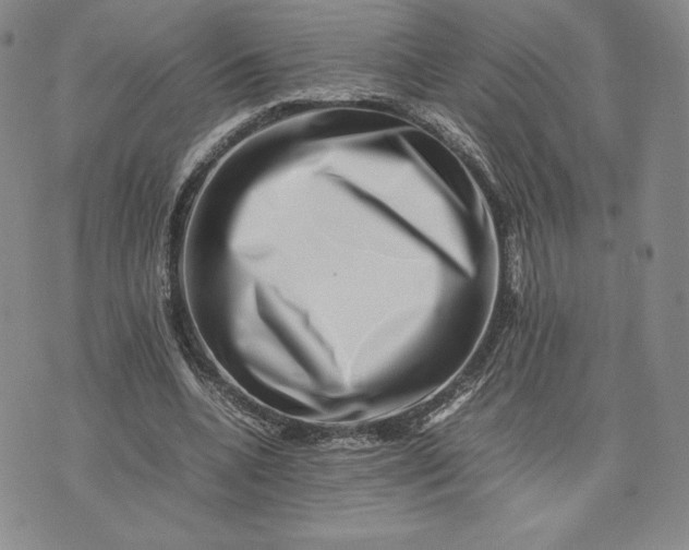 X0000075360536200609251104