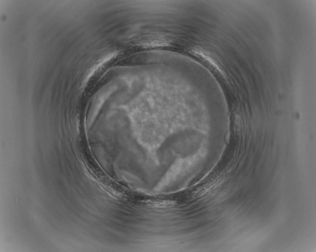 X0000075360539200609251104