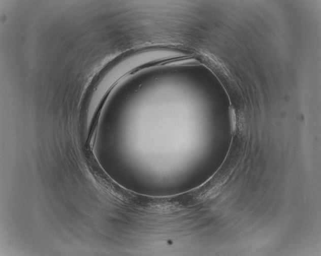 X0000075360540200609251104