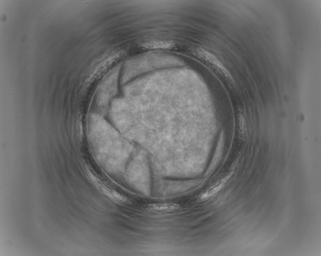 X0000075360541200609251104