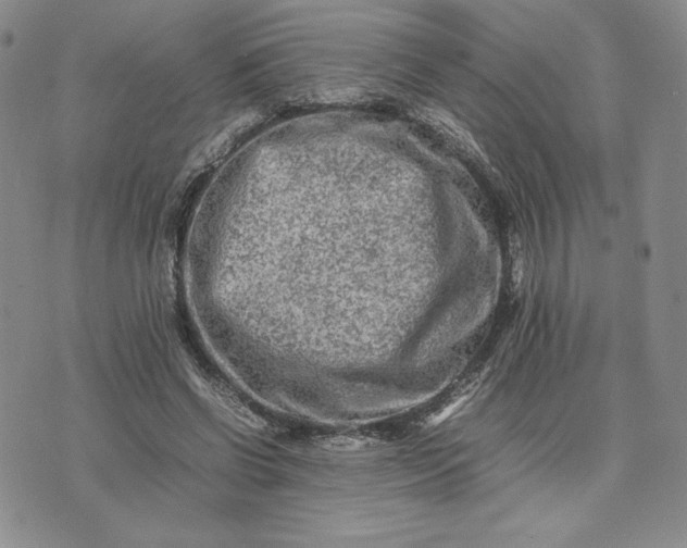 X0000075360542200609251104