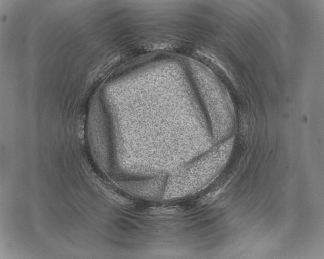 X0000075360545200609251104