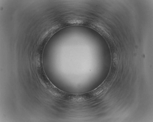 X0000075360547200609251104