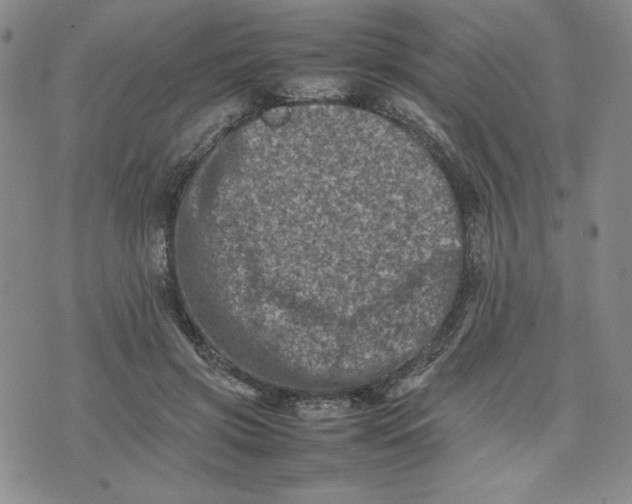 X0000075360549200609251104