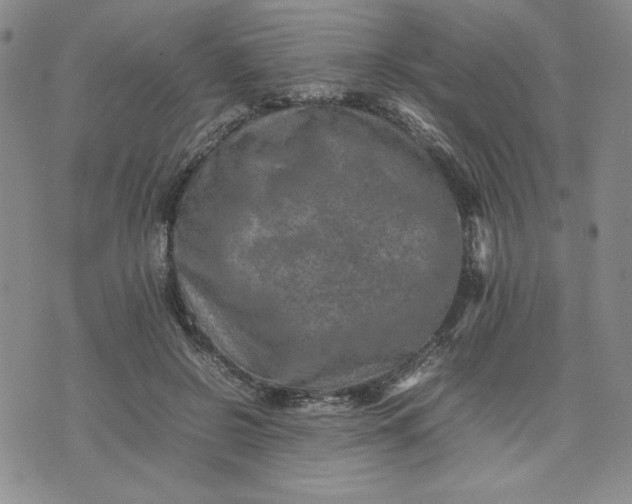 X0000075360550200609251104