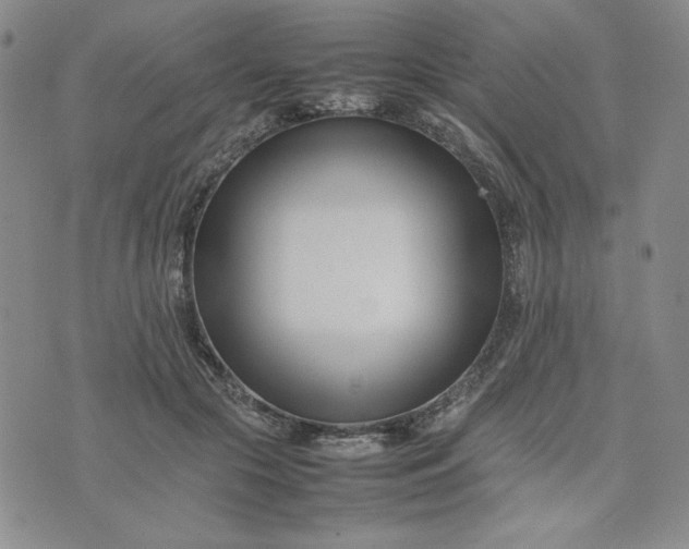 X0000075360553200609251104