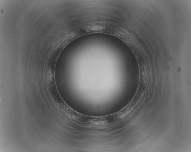 X0000075360555200609251105