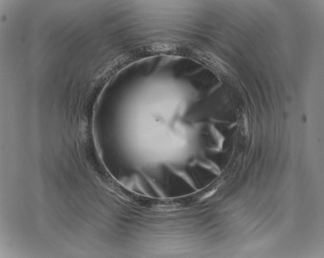 X0000075360556200609251105