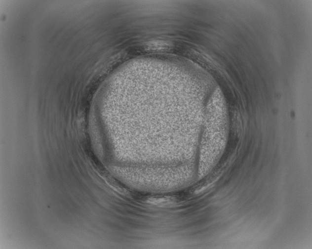 X0000075360557200609251105