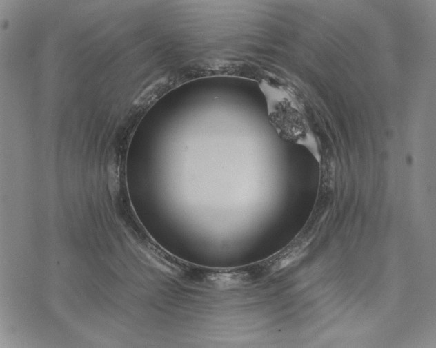 X0000075360558200609251105