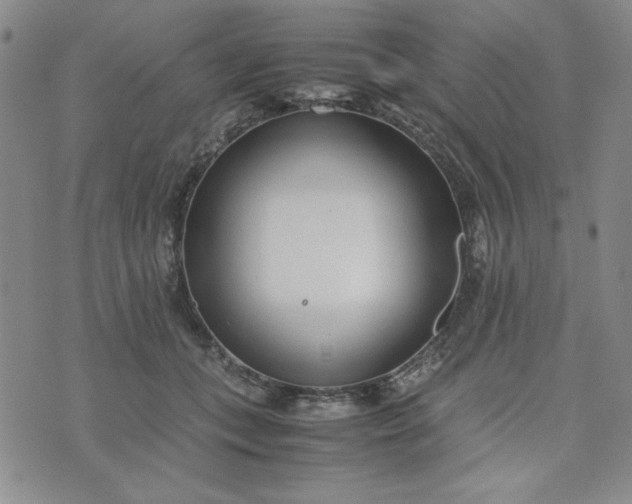 X0000075360559200609251105