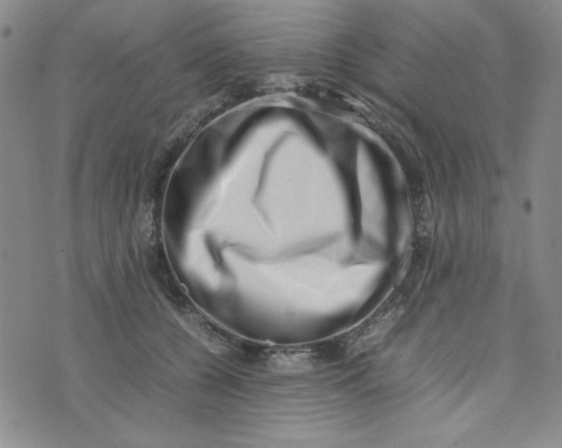 X0000075360560200609251105