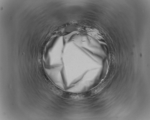 X0000075360561200609251105