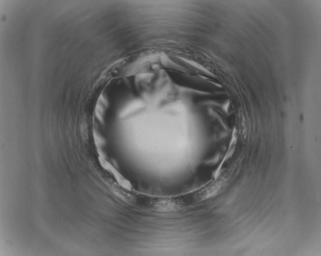 X0000075360562200609251105