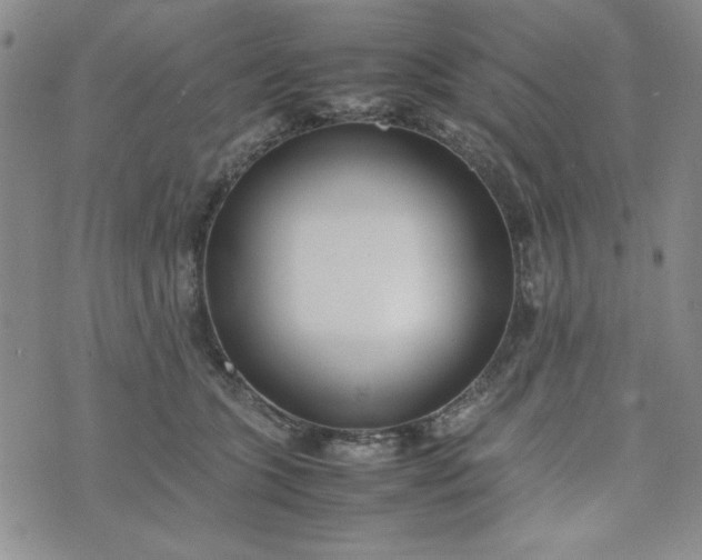 X0000075360563200609251105