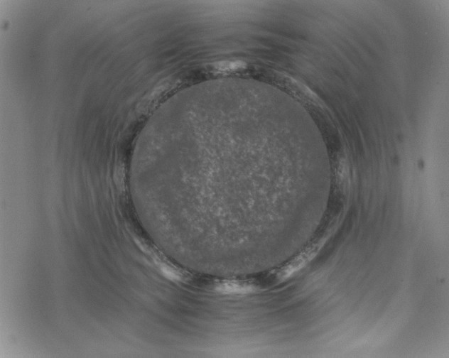 X0000075360565200609251105