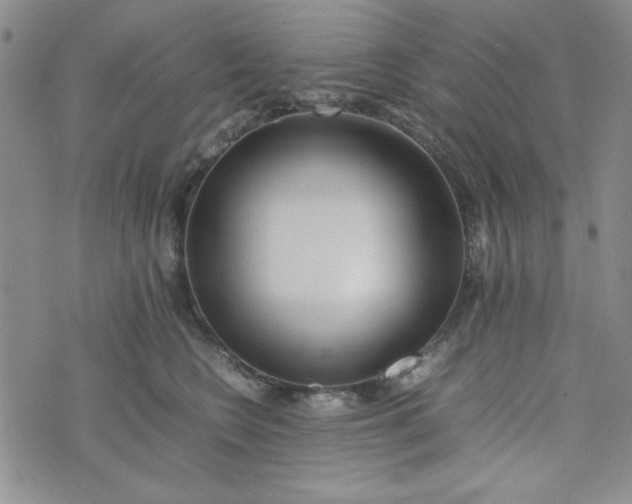 X0000075360566200609251105