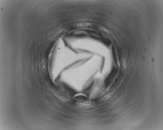 X0000075360567200609251105